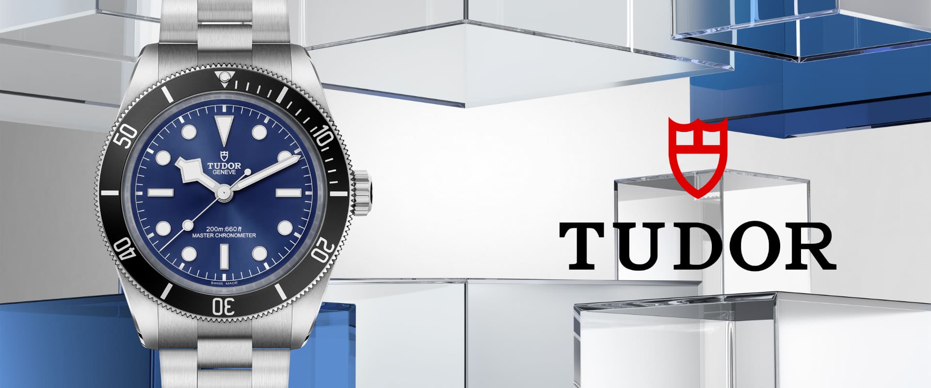 Tudor banner (9)