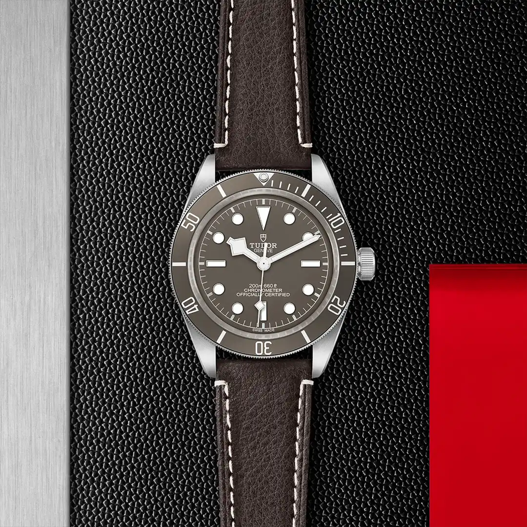 Black Bay 58 925 1 M79010SG 0001 5