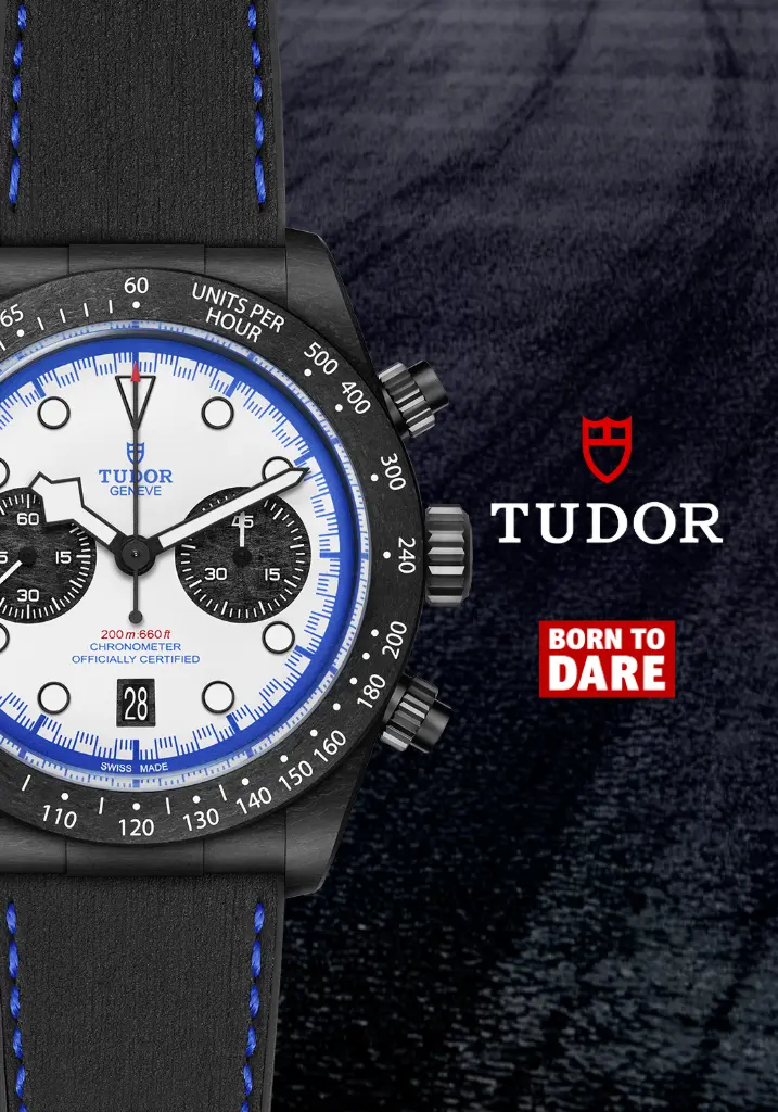 Tudor banner (10)