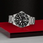 M25600TN 0001 Tudor Bauer 3