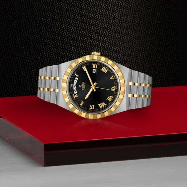 M28603 0003 Tudor Bauer 3