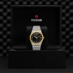 M28603 0005 Tudor Bauer 2
