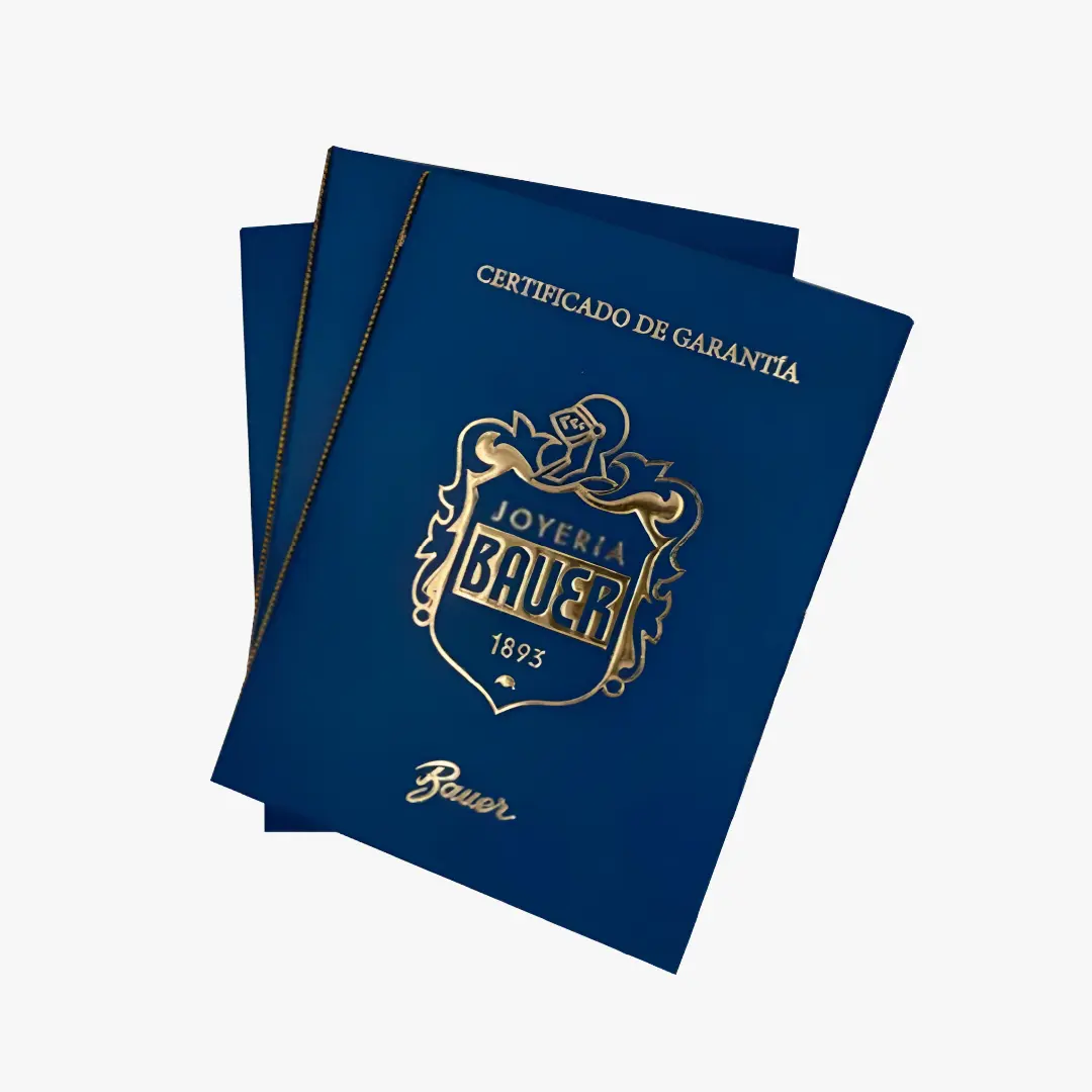 garantia ia.webp