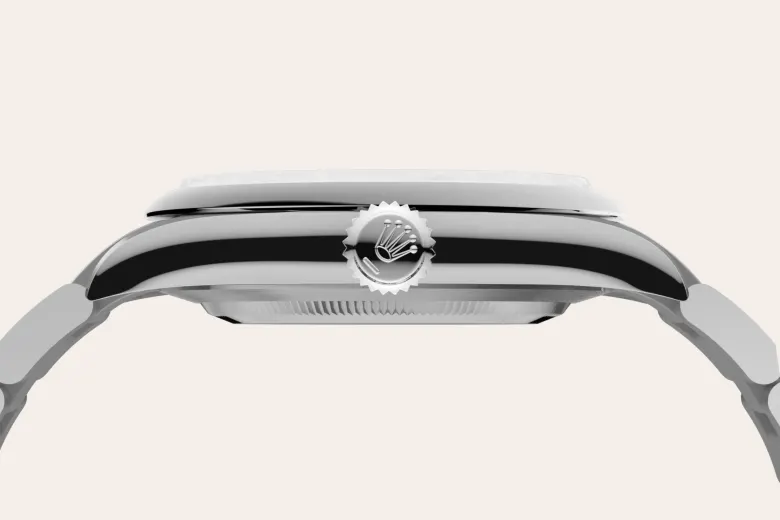 Oyster Perpetual 41 13 m134300 0006 060 1.webp