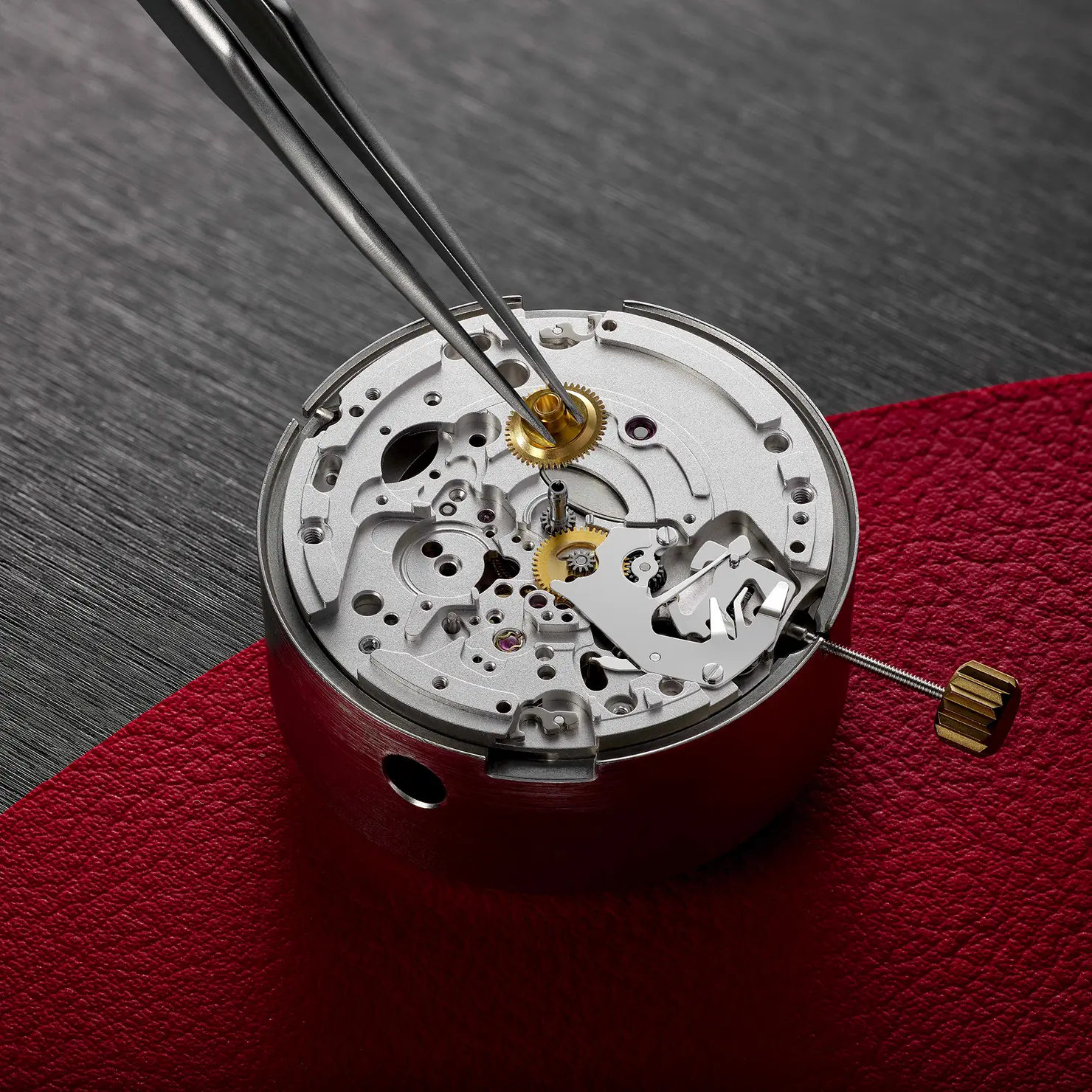 Tudor 18 About Tudor Movements.webp