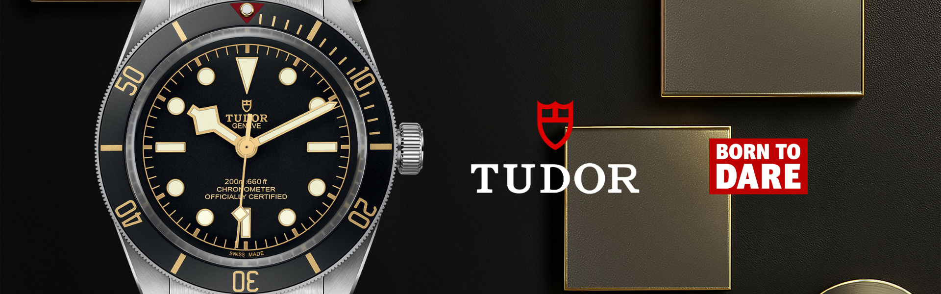 Tudor banner (1)