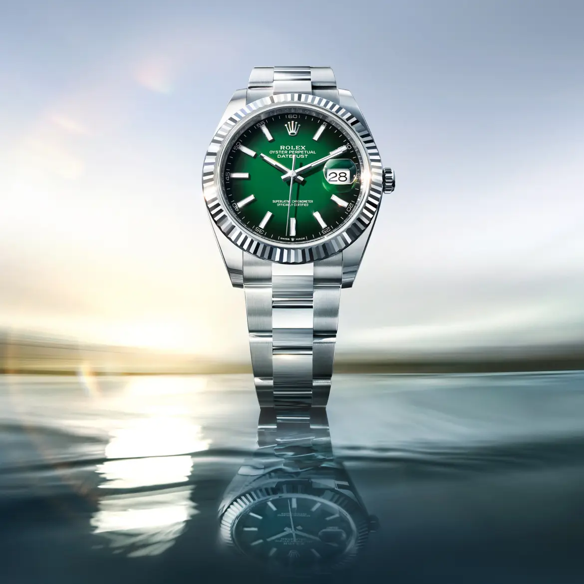 rolex new watches 2026 the datejust m126334 0033 portrait.webp