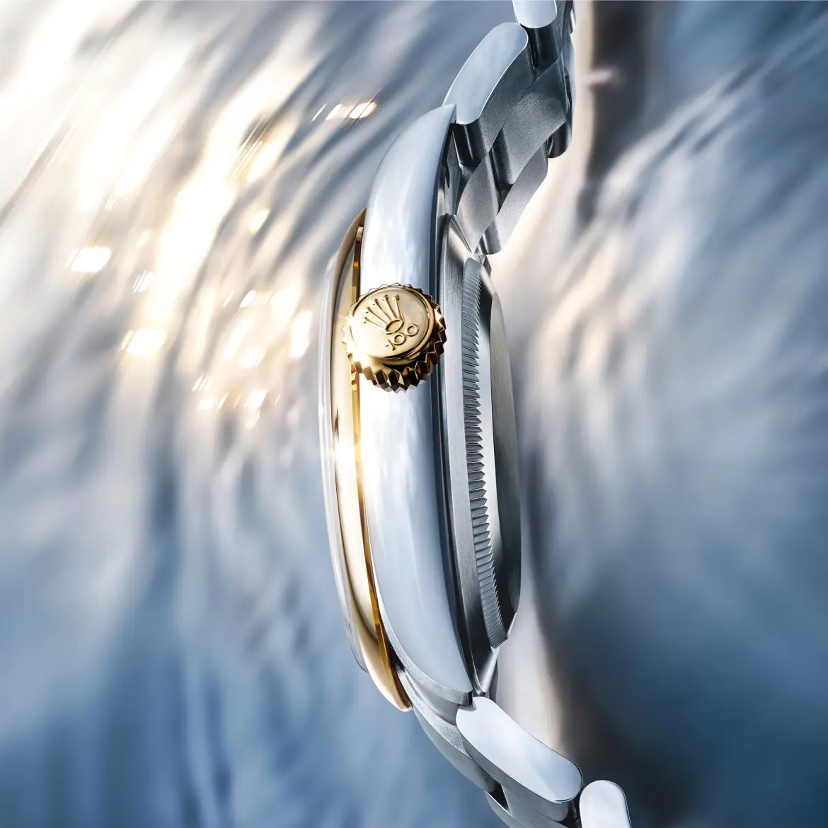 rolex watches new watches 2026 the oyster perpetual 41 m134303 0001 portrait.webp