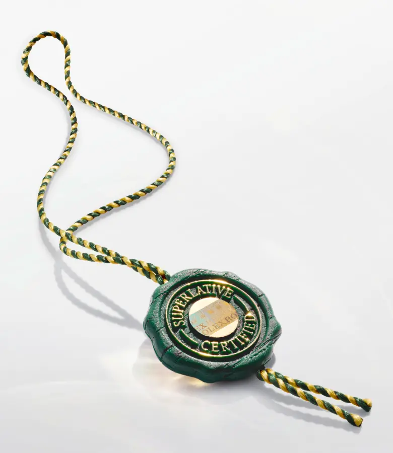 rolex oyster story elmt 2602stj 0002 ecirgb portrait.webp